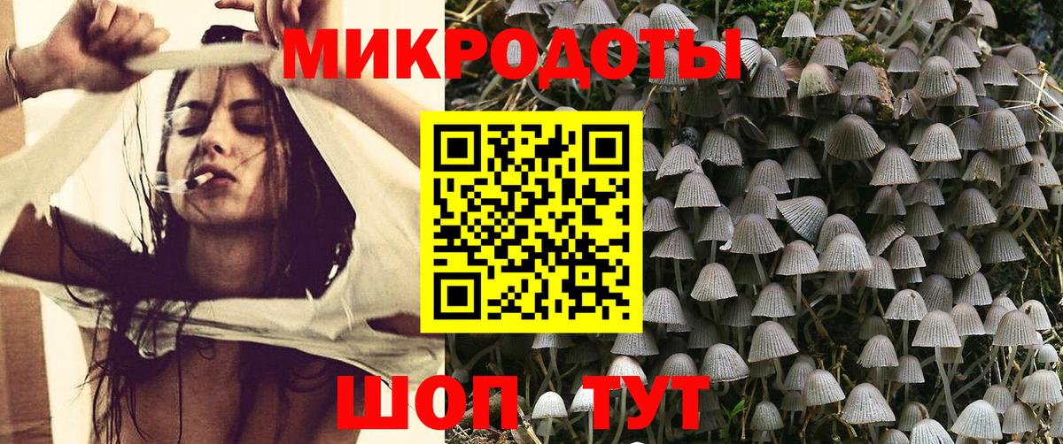 Елабуга  Галлюциногенные грибы Psilocybe  Вход с VPN 