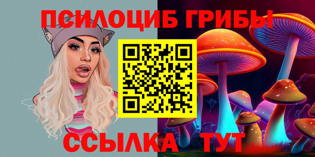 Галлюциногенные грибы Psilocybine cubensis Елабуга